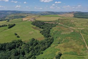 Photo 31- click for photo gallery